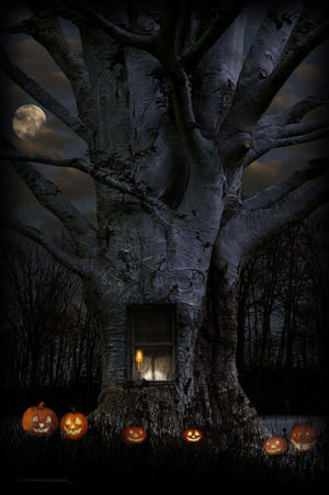 halloween,ghost,full moon,pumpkin,jack o lantern,spooky
