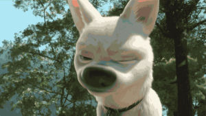 bolt,walt disney animation studios,cute,dog,disney,puppy