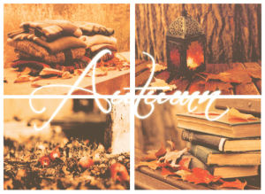 autumn,halloween,fall,follow for follow,pale,october,september,spooky,pumpkin,pumpkins