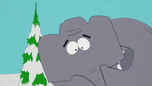scared,elephant