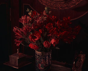roses,bram stokers dracula,dark fantasy,movies,flowers,1990s