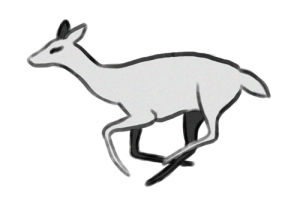 deer,run cycle,run,arrow,pale,grey,film grain