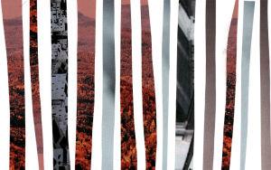 collage,stripes,animation,loop,landscape,loops,national geographic