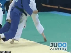 judo,sports,blue,fight,white,ufc,olympics,throw,ronda rousey,martial arts,2008,combat,beijing,ippon,eju,ijf