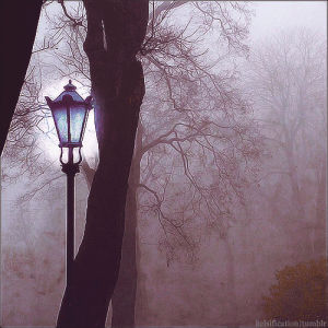 nature,fog,autumn,halloween,dark,fall,misty,lantern,dark forest