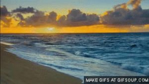Funny Gifs Beach Gif VSGIF