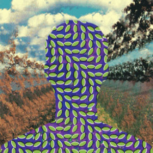 animal collective,album cover,psychedelic,music,trippy,visual,made with tumblr,merriweather post pavilion