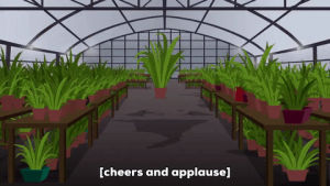 plants,excited,cheering,garden