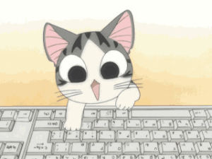 computer,typing,keyboard,chi,chis sweet home,cute cat,working,busy,email,cat,download,workplace,emails,outlook