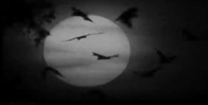 moon,sky,bats