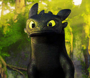 toothless,how to train your dragon,dragon