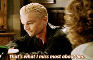 buffy the vampire slayer,tv,ugh i loved their scenes,spike and joyce though