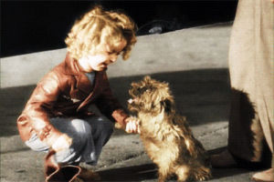 shirley temple,dog,vintage,reaction,film,history,old hollywood,classic film,1930s,handshake,classic hollywood,1934,child star,bright eyes,vintage dog
