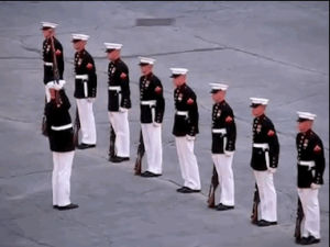 fail,page,classic,just,fails,miss,nation,dropping,my,marine