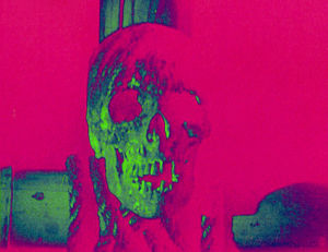horror,psychedelic,skull,rhetthammersmith