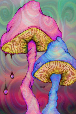 mushrooms,trippy,drugs,shrooms