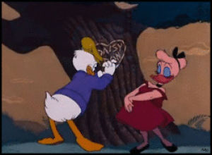 donald duck,daisy duck,disney love,disney couples,classic disney,cartoons comics