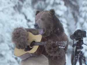 bear,guitar,russia