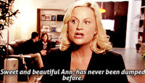 parks and recreation,amy poehler,leslie knope