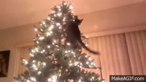 cat,christmas,vs,tree