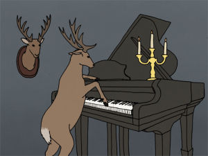 piano,music,funny,cute,animals,animal,deer,lulz