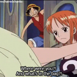 nami,roronoa zoro,op,monkey d luffy,opgraphics,luffymoments