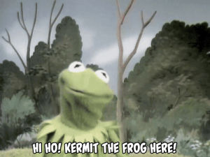 kermit the frog,kermit,television,vintage,sesame street,late night in the phog