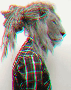3d,lion,black and white,lion head