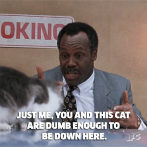 mel gibson,lethal weapon,cats,lethal weapon 3,movies,danny glover