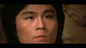shaw brothers,lu feng,oh,martial arts,kung fu,the magnificent ruffians
