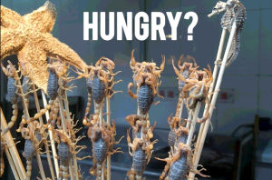 food,hungry,special,insect,fried,sticks,scorpions,snacktaku