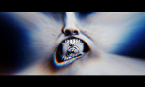 face,loop,scary,crazy,after effects,perfect loop,mouth,tunnel,looping
