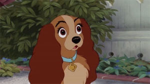 lady,taken,lady and the tramp,disney g,lady and the tramp 2,taken f,lady and the tramp two,played by lady