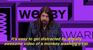 youtube,internet,dave grohl,foo fighters,webby awards,webby