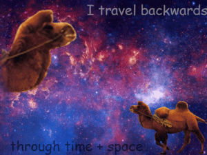 camel,doctor who,space,time
