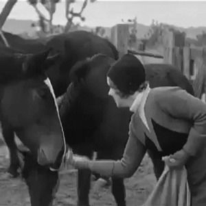 nostalgia,cow,film,cute,vintage,adorable,sweet,horse,hollywood,old hollywood,horses,1930s,glamour,clara bow,rest in peace,movie star,nevada,ranch,it girl,1930s fashion,cloche,cloche hat