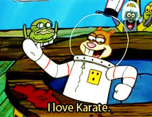 spongebob squarepants,sandy,karate