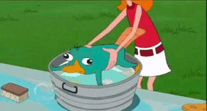 candace flynn,perry the platypus,candace,phineas and ferb