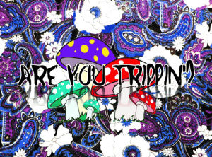 mushrooms,psy,happy,trippy,crazy,psychedelic,drugs,acid