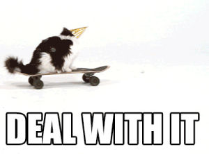 cat,party,deal with it,skateboard,party cat,skateboard cat