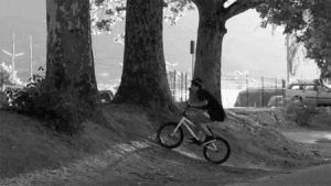 sick,bmx,sports,black and white,bike,street,tree,flip