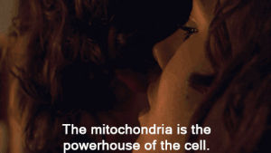 mitochondria,biology,science,secrets of the dead