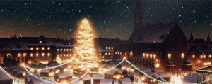 christmas,winter,snow,snowing,christmas tree,christmas lights,christmas time,winter time,hess,karcsonyfa,kangaroo in a bag,theodoreshe,tl