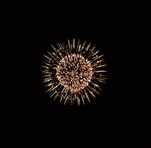 happy new year,fireworks,2013,hoppip,imt,dumb stuff
