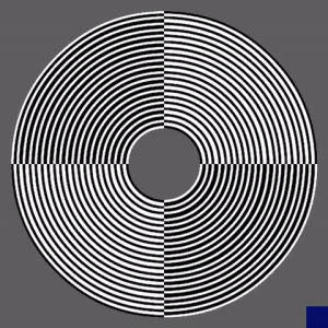 moire,optical illusion,loop,moire pattern,digital art,animation,art,black and white,abstract,perfect loop,minimalism,op art,minimalist,the blue square
