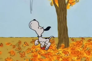 snoopy,halloween,peanuts,fall,its the great pumpkin charlie brown,charlie brown,great pumpkin