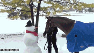 snowman,horse,tv,animals,eating,hungry,nom nom nom