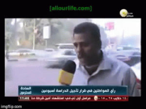 egypt,interview,street,bus,situation