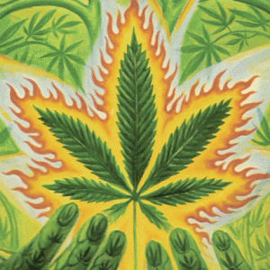 Конопля картинки и анимация наркоман о марихуане