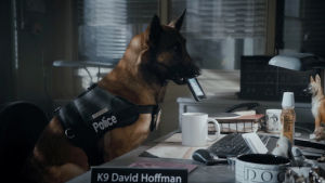 police dog,fail,coffee,phone,tbs,911,cell phone,angie tribeca,hoffman,drop phone